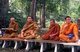 Thailand: Cross-legged Buddhist monks silently observe the proceedings, Pu Sae, Ya Sae Festival, Tambon Mae Hia, Chiang Mai, northern Thailand
